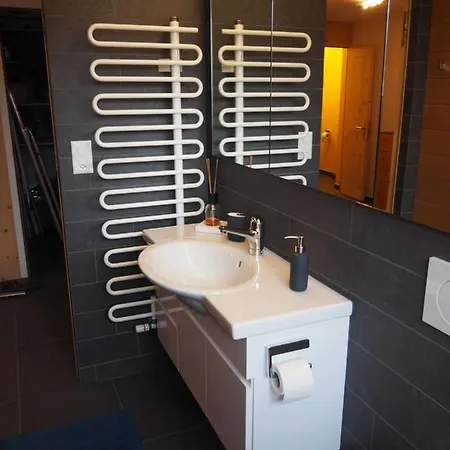 Dachwohnung Mit Sauna, Dachterrasse Und Aussicht